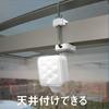 Musashi RITEX LED-Hochleistungs-Sensorleuchte mit Schwenkarm (5W x 1 Licht) [Solarbetrieben] S-110L Weiß