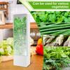 Herb Saver for Refrigerator Tall Shape Herb Keeper with Clear Window Cilantro Containers Fresh Herb Keeper Herb Saver Container