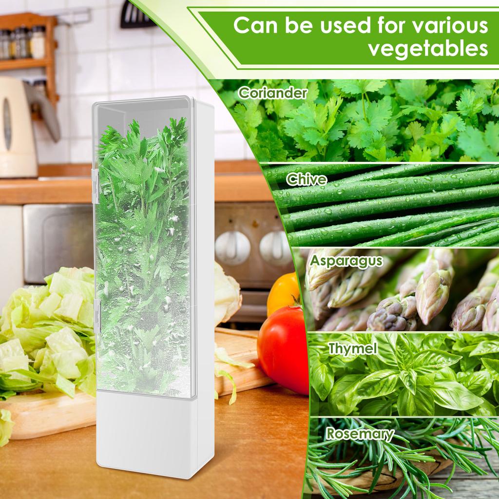 Herb Saver for Refrigerator Tall Shape Herb Keeper with Clear Window Cilantro Containers Fresh Herb Keeper Herb Saver Container