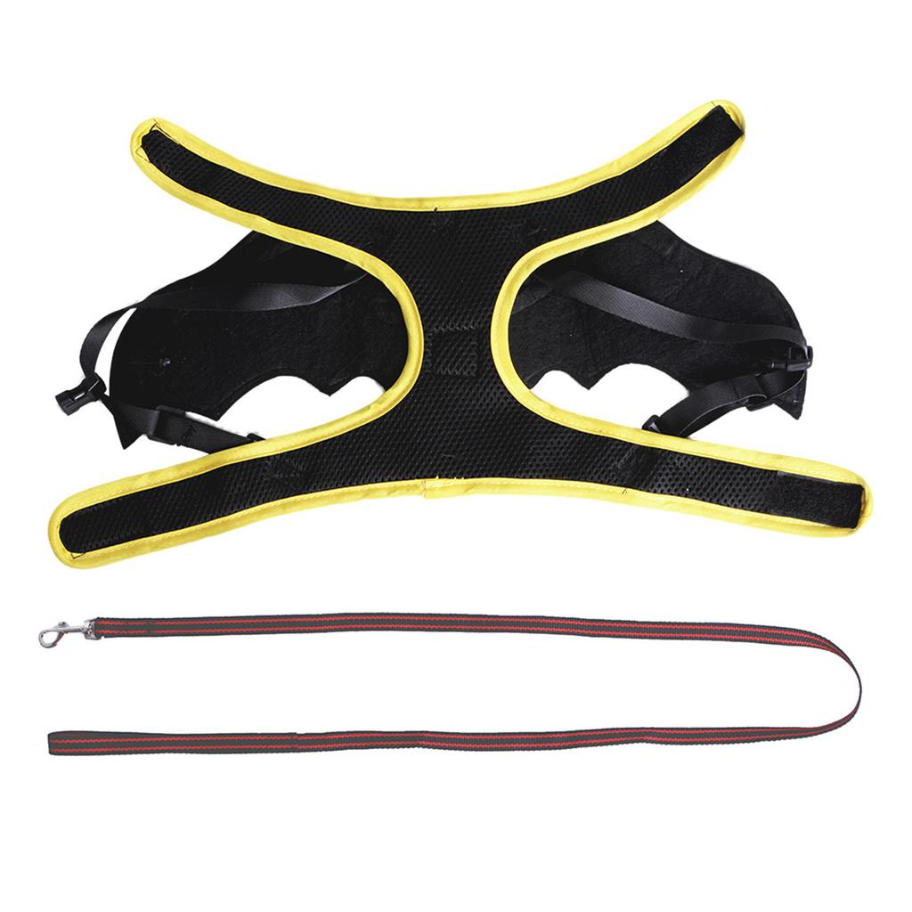 Kostým netopýřích křídel pro mazlíčky Kostým na hraní rolí pro kočku Postroj na venčení psa na párty Halloween