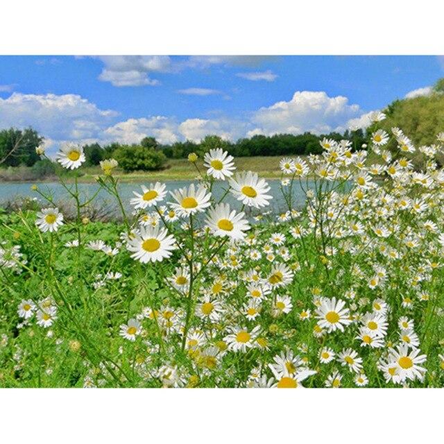 Flower Diamond Painting Accessories 5D DIY Diamond Mosaic Embroidery Cross Stitch Full Round Square Rhinestone Home Decoration