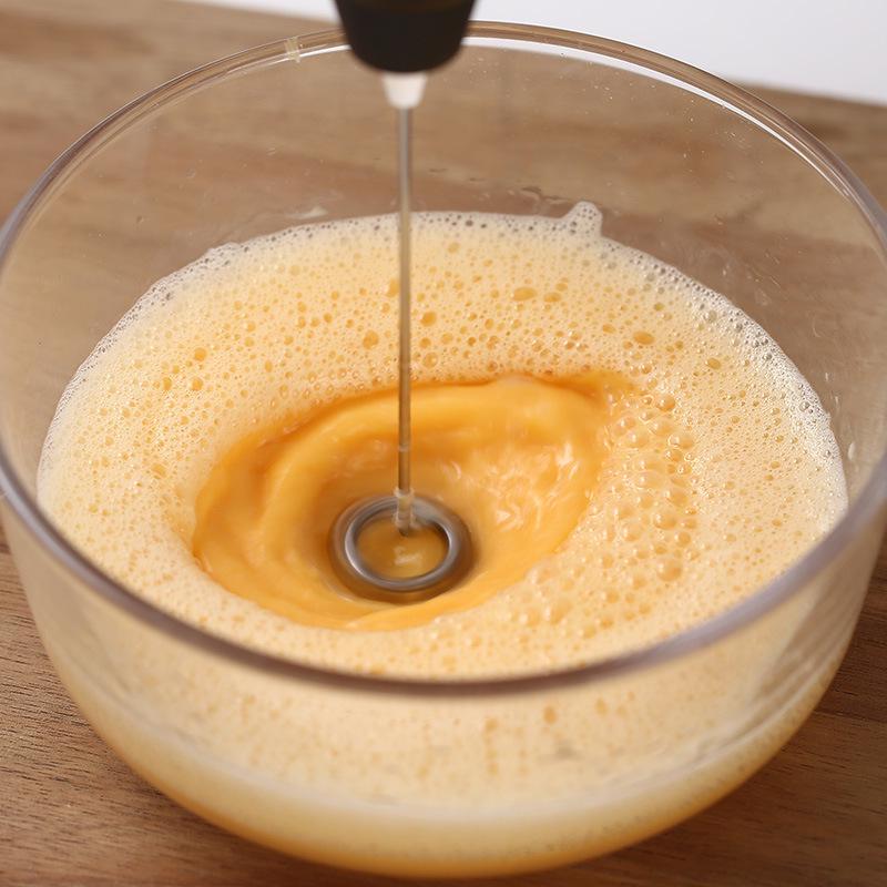 Kompakter elektrischer Eierschläger und Milchaufschäumer aus Edelstahl