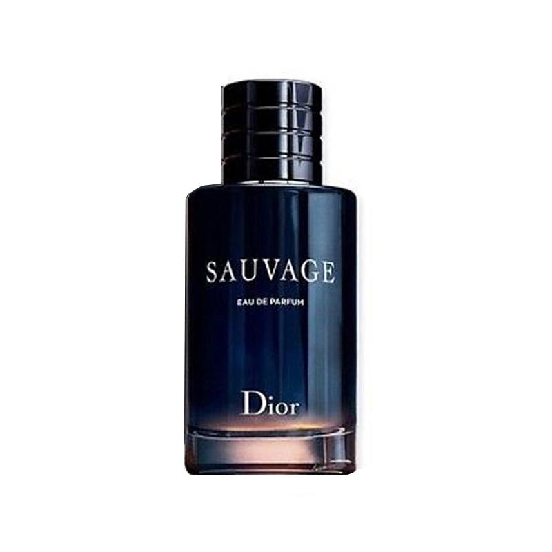 DIOR Wilderness Men s Perfumes Woody Amber Eau De Parfum EDP 60ml/100ml Citrus Santalum Album 60ml