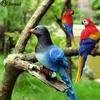 Lifelike Resin Parrot Garden Decoration