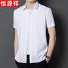 Men's Ice Silk Wrinkle-Free Short Sleeve Shirt