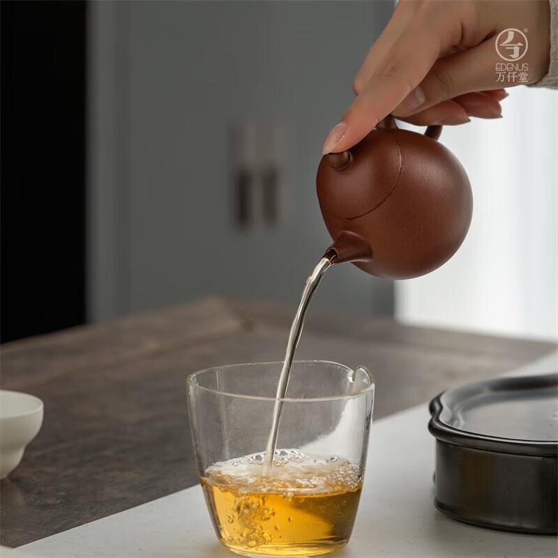 Edenus Handmade Yixing Purple Clay Dragon Egg Teapot 130ml