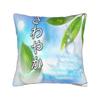 Electronic YK Frutiger Aero Square Pillow Case  Cushion Covers Awesome Zipper Decorative Pillowcase for Sofa cm