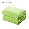 Lightweight Flannel Polyester Blanket In Various Colors For Modern Style Bedrooms