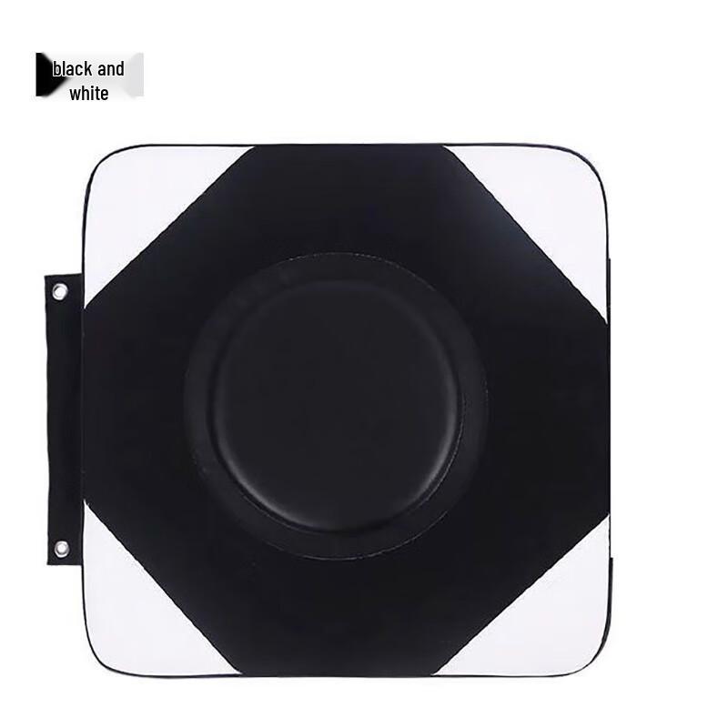 Norman Home Boxing Wall Target