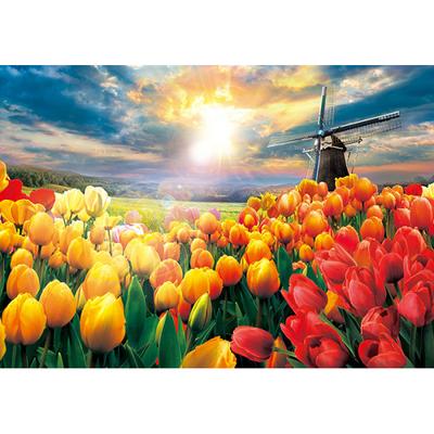 1000-teiliges Puzzle – leuchtendes Tulpenfeld, beliebtes koreanisches Puzzle