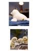 Internet Celebrity Seal Plush Keychain: Cute Aquarium Seal Doll, Sleeping Hug Pillow, Ornament, Birthday Gift