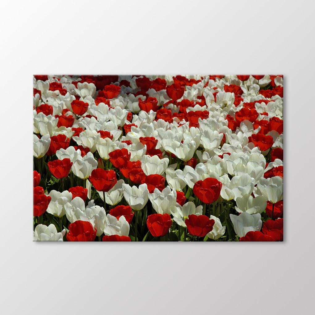 

Стол тюльпанов