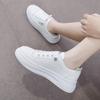 White Shoes Women's Shoes New Spring and Autumn Sports Board Shoes Women's Super Popular White Versatile Casual Shoes