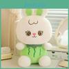 Cute Fruit Rabbit Plush Toy Strawberry Watermelon Pineapple Kid Gift Holiday