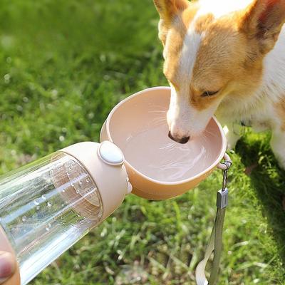 Honden – Hondenvoer- en drinkbakken