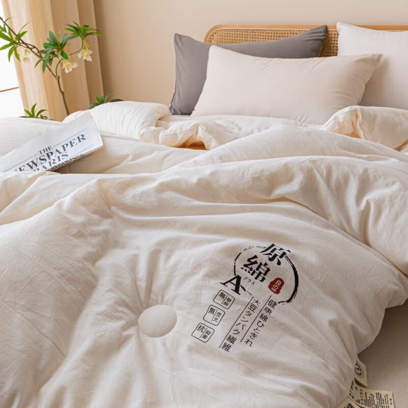 Jeliya All-Season Soybean Protein Blended Quilt