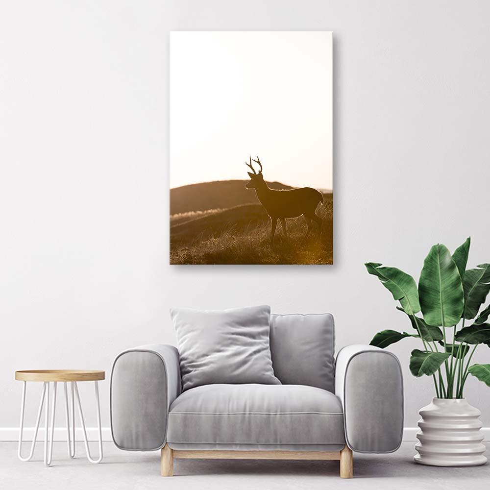 Canvas Print, Young Deer