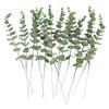 20pcs Eucalyptus Stems Dried Flowers Photography Props For Wedding Centerpiece Farmhouse Home