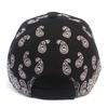 Universal Chemistry Paisley Bubble Black Ballcap Paisley Ball Cap