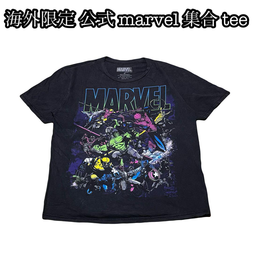 

[USED] Overseas Exclusive Fullmetal Alchemist T-Shirt Rare Pop Anime Manga Archive Black