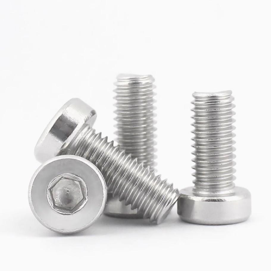 Stainless Steel Low Head Socket Cap Screw DIN7984 M6