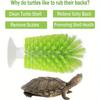 Amphibian Friendly Turtle Back Scrub Brush PVC Suction Cup Exfoliation Tool for Removing Shell Scutes and Promoting Shell Health