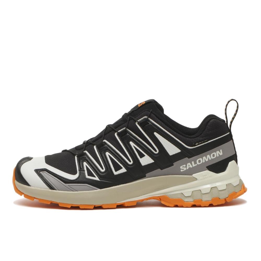 Salomon Xa3d V9 Gtx Black Vanilla L47881900