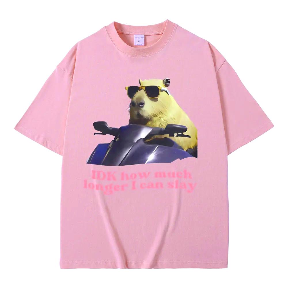 Ich weiß nicht, wie viel länger ich noch slayen kann. Lustige Capybara Meme Grafik T-Shirts Damen Lässig Gemütlich Kurzarm Damen T-Shirts