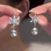 111 Silver Needle Fashion Niche Design Zircon Snowflake Earrings Women's Light Luxury Premium Pearl Earrings Temperament Earrings