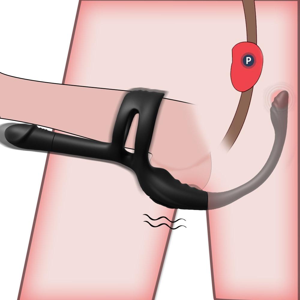 2 In 1 Male Prostate Massager Vibrator Anal Plug Cobra Penis Ring Ass Plug Vibrator Erotic Toy Male Masturbator