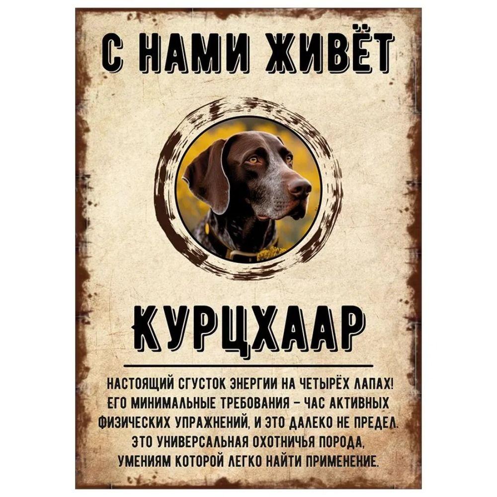 Schild, dekorativ, GEFAHR HUND, Schnauzer lebt bei uns, 20x30cm