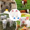 Ziegenmilch-Flasche mit Sauger Tragbare Kälber-Trinkflasche für Lamm Kalb Ochsen Nutztiere Viehbedarf