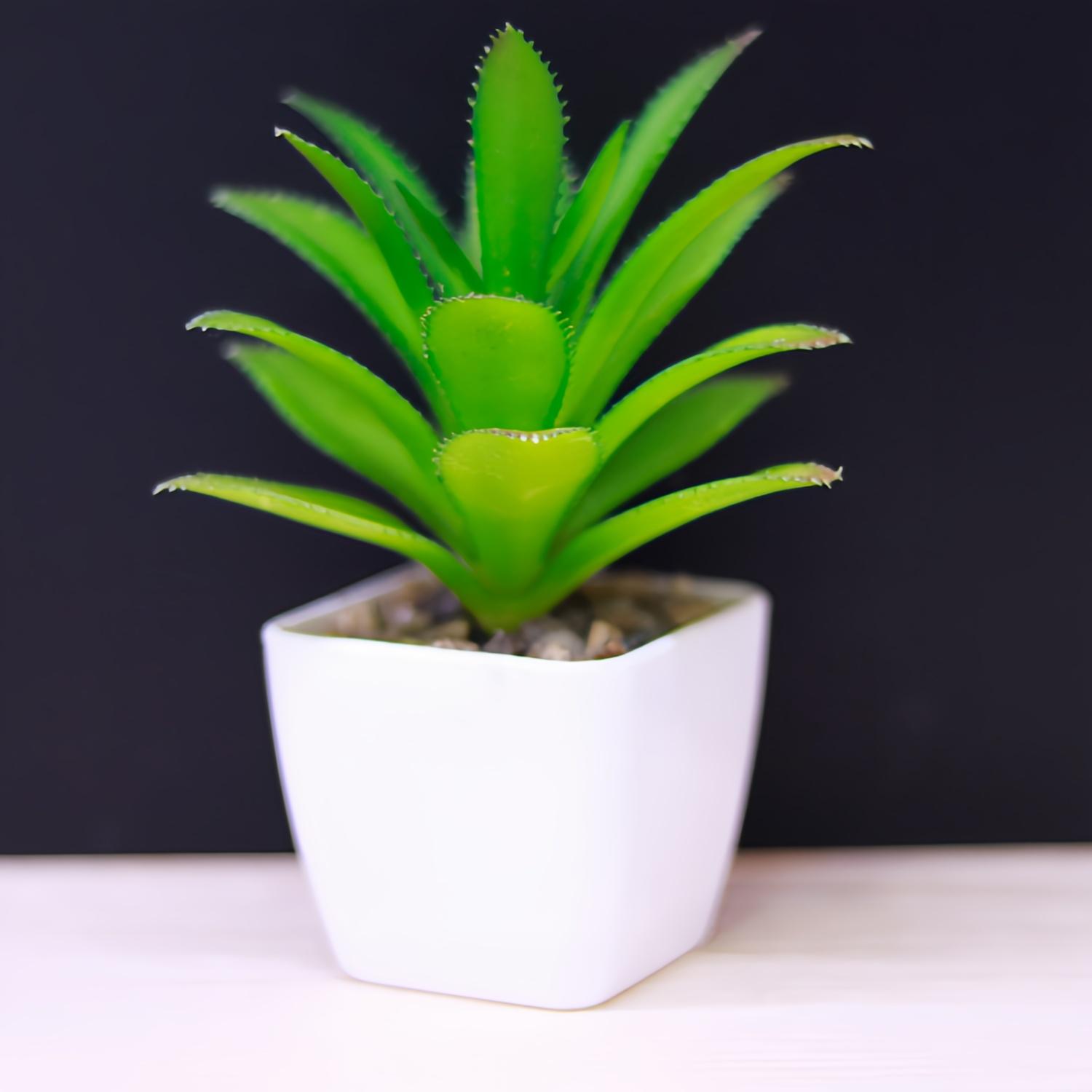 

Uflower Mini Artificial Succulent Bonsai Plants Mini Evergreen Cactus Plastic Fake Plants for Home Garden Office Desktop Decor