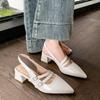 Designer Summer Pointed Toe Women Sandals Fashion Singbacks Mules Shoes Ladies Elegant Thick Heel Party Dress Shoes