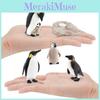 Realistic Penguin Evolution Model For Children Science Education Pvc Animal Display
