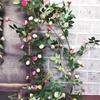 Diamant-Rose Künstliche Blumenranke für Hochzeits- und Wanddekoration