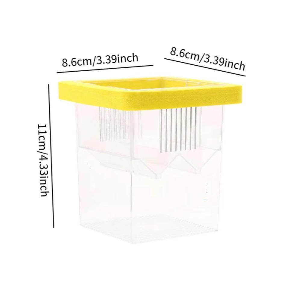 Square Aquarium Fish Breeding Box Clear Fish Tank Hatching Incubator  Aquarium