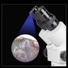 AOSVI Professional Stereo Microscope