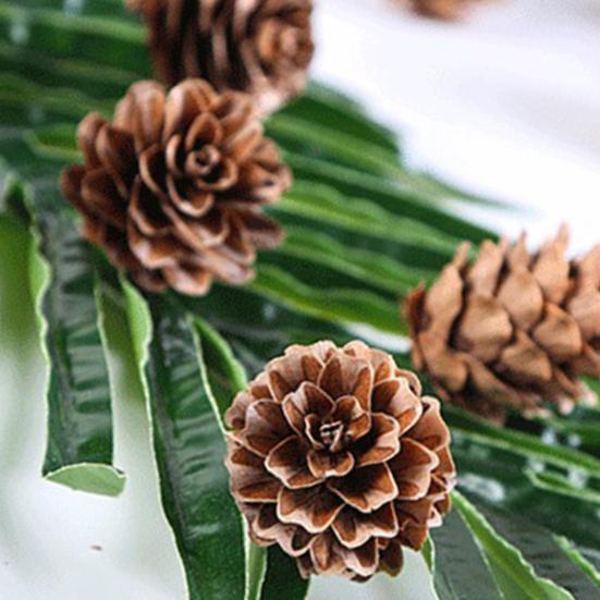 20Pcs Artificial Pine Cone Attractive for Garden Convenient Decorative DIY Simulation Pinecone Novel Vivid Natural