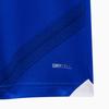 Puma Sbfc Home Jersey Striped Print Comfortable Breathable Versatile Short Sleeve Football Shirt Men Jerseys Water-Blue 940800-01