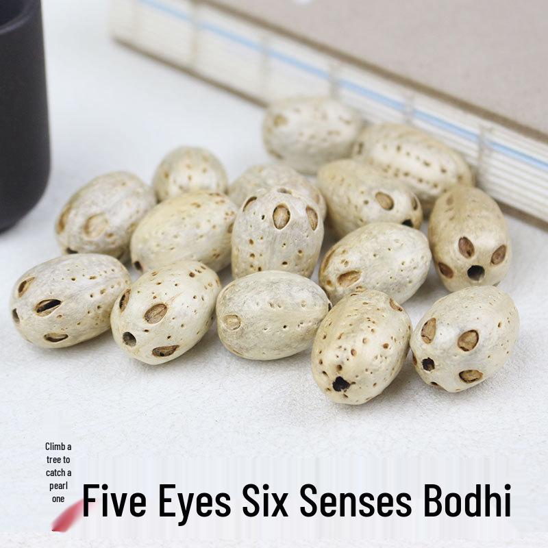 Five-Eyed Six-Pass Bodhi Seed Beads for DIY Bracelet and Rosary Accessories
