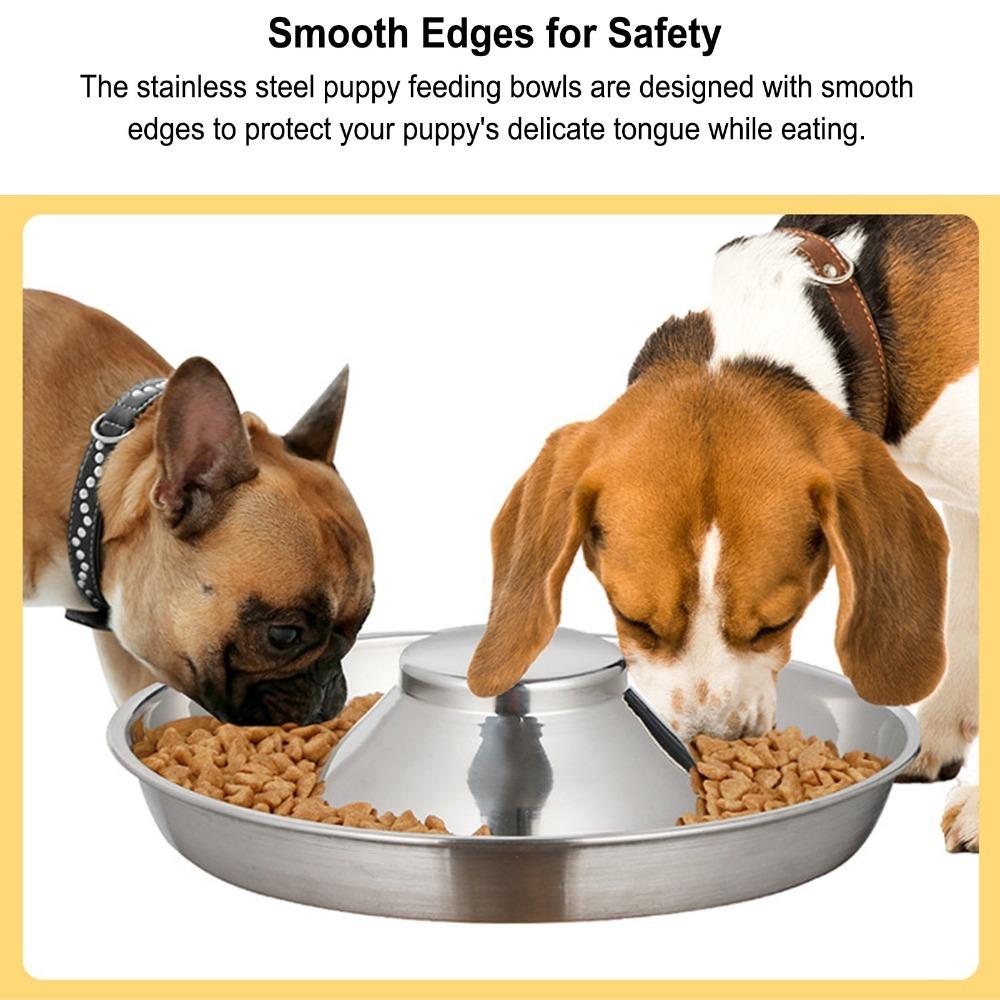 Metal Metal Feeding Bowl Labyrinth Groove Anti Choke Dog Bowl Cat Food Water Bowl Daily Meal Time