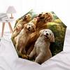 1 PC Automatic Folding Umbrella - Golden Retriever Pattern, Portable & Foldable Design with 8 Ribs, Christmas Birthday Gifts