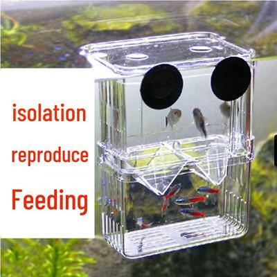 Caixa de Isolamento e Reprodução de Peixes em Acrílico para Guppies