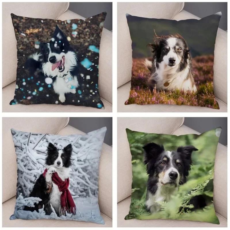 Cute Scottish Border Collie Pillowcase Dog Print Decor Pet Animal Cushion Cover Sofa