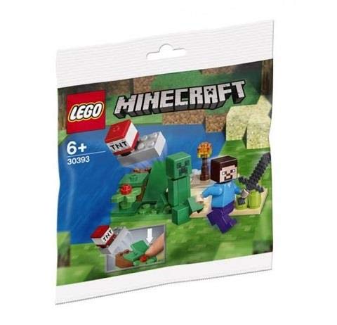 LEGO 30393 Minecraft Steve and Clipper