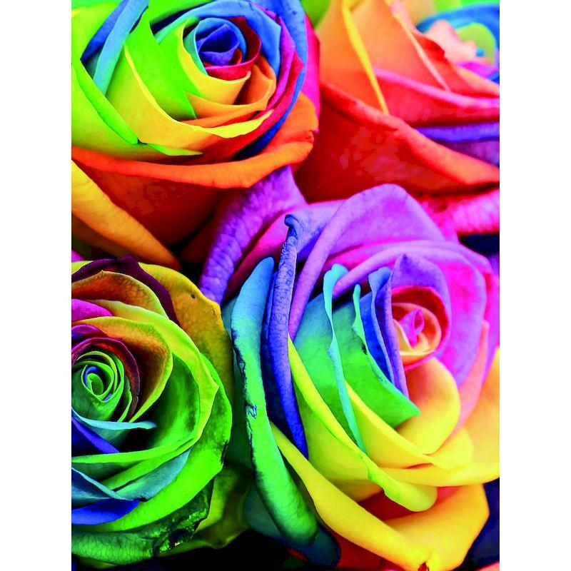 5D DIY diamantová malba Abstraktní květiny Plné kulaté diamantové vyšívání Obrazy Příslušenství Štrasový obrázek