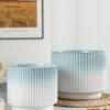 Luxury White Ceramic Hanging Flower Pot Set for Orchids and Money Trees in Living Room