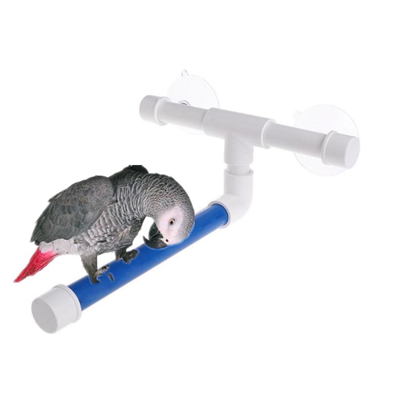 Buy Bird Toy Foldable Parrot Shower Perch Stand With Suction Cup for