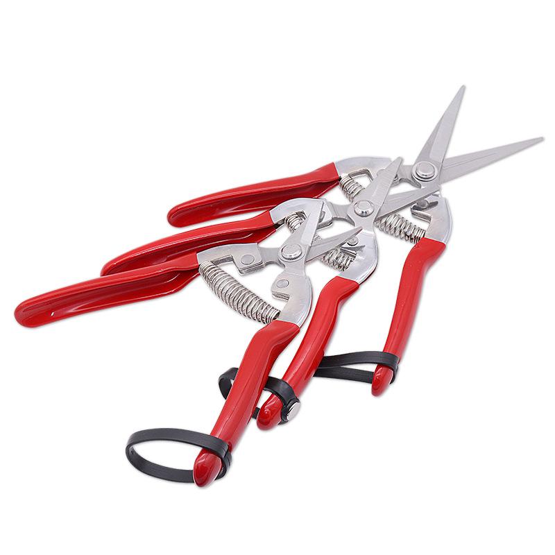 Stainless Steel Garden Pruning Shears with Dipped Handle